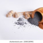 色花堂8堂综合讨论区活动公告:探索多元话题,共享精彩互动体验 ihyfu