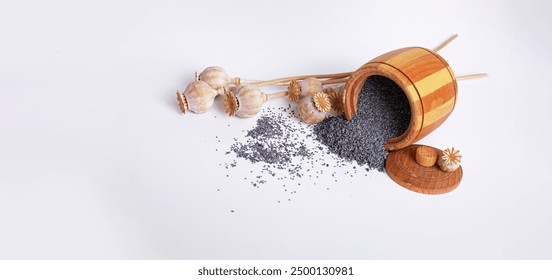 色花堂8堂综合讨论区活动公告：探索多元话题，共享精彩互动体验