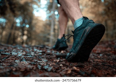 色即是空 空即是色是什么意思：探讨佛教哲学中的色与空的深刻内涵